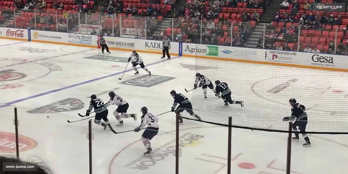 zoty中欧体育官网——🏊花样游泳,水中画卷!